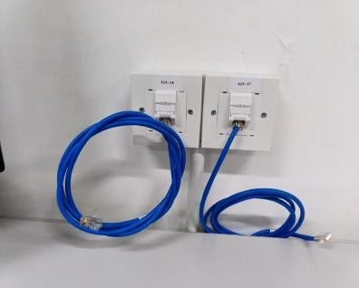 Blue patch cord plugged into a wall faceplate
